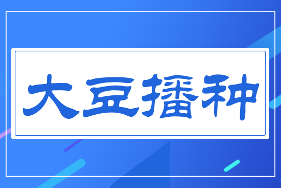 大豆播種