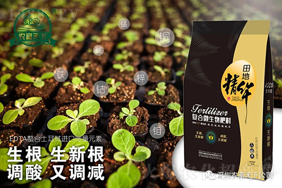 西瓜裂瓜怎么預防?了解這些西瓜滾滾品質(zhì)高!