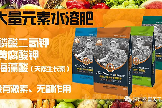 西瓜裂瓜怎么預防?了解這些西瓜滾滾品質(zhì)高!