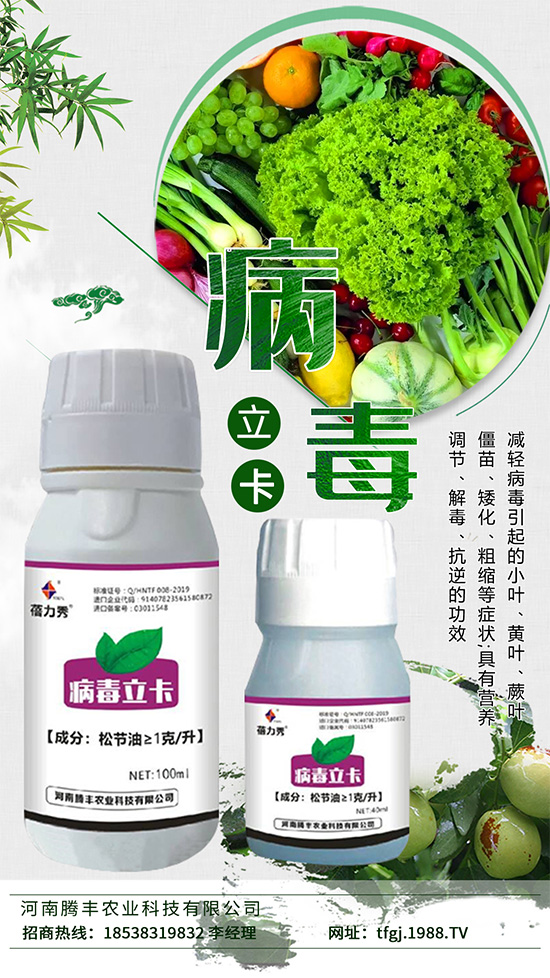 病毒病一種是由植物病毒寄生引起的病害。種類(lèi)少、危害大,易得難治。在侵染蔬菜植株后會(huì)與蔬菜爭(zhēng)奪生長(zhǎng)必需的養(yǎng)分,同時(shí)會(huì)影響植株的養(yǎng)分傳輸,抑制光合作用的進(jìn)行