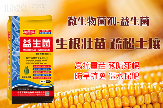 作物如何生根壯根、長勢(shì)更茂盛?學(xué)會(huì)這些事半功倍!