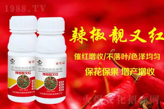 辣椒催紅增收專利產(chǎn)品!自然增紅零激素,色澤勻無黃斑