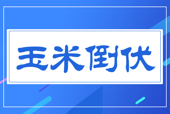 玉米倒伏