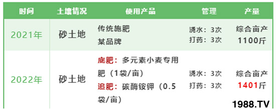中農化6