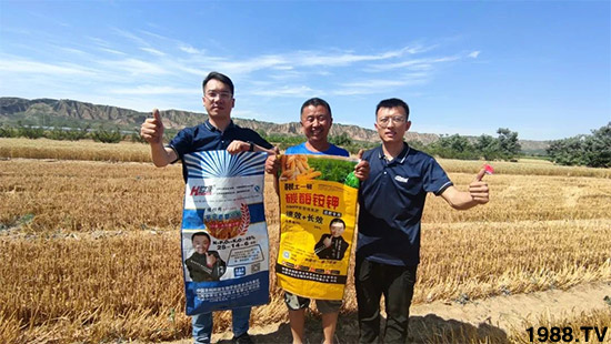 中農化5