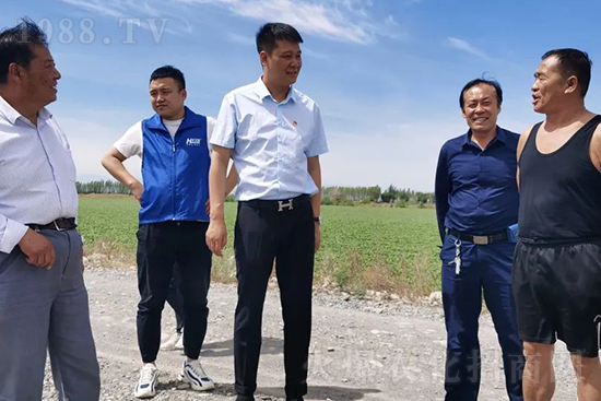 中農化新疆北疆辦事處負責人:同路同行共發(fā)展