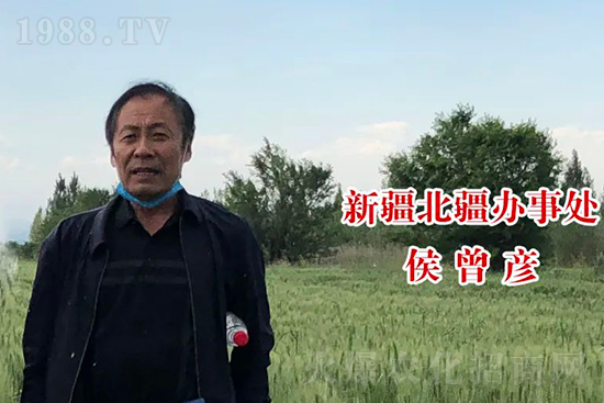 中農化新疆北疆辦事處負責人:同路同行共發(fā)展