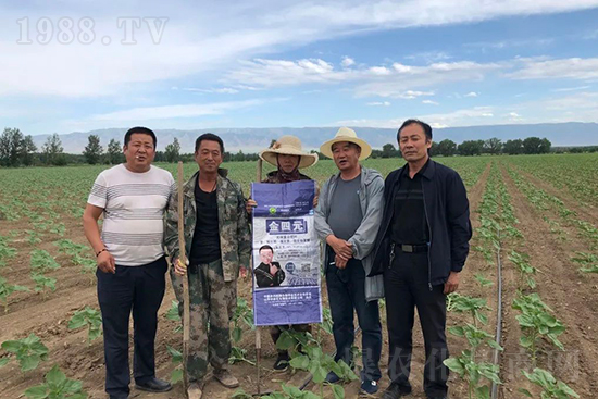 中農化新疆北疆辦事處負責人:同路同行共發(fā)展
