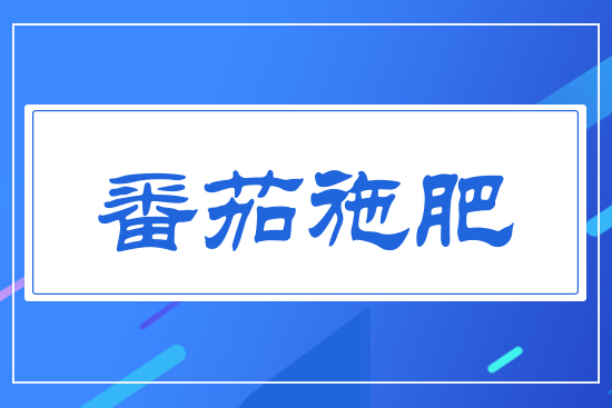 番茄施肥