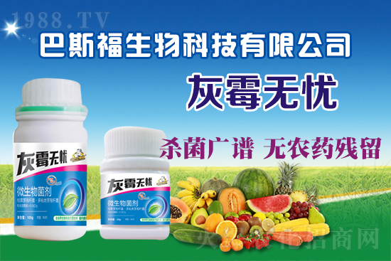 葡萄灰霉病危害嚴重!葡萄灰霉病如何防治?