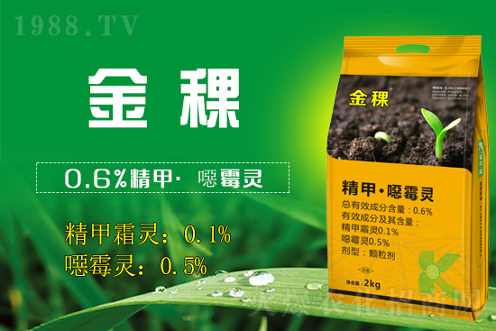 康普捷生物強勢入駐1988.TV,開啟網(wǎng)絡(luò)招商新征程!