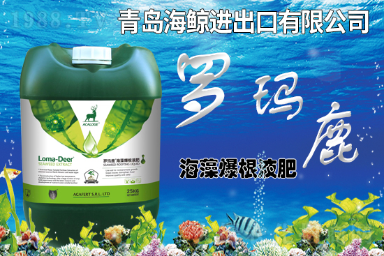 爆根液肥