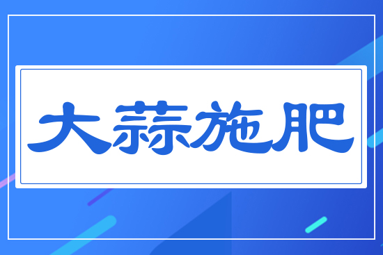 大蒜施肥