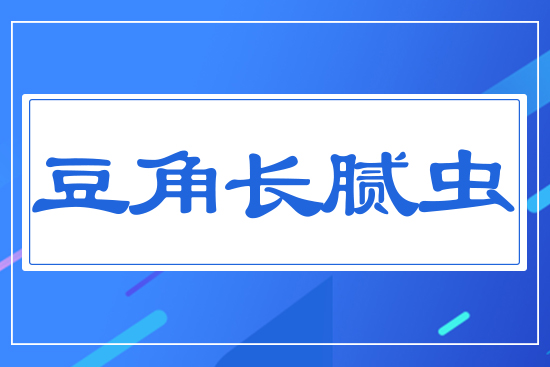 豆角長(zhǎng)膩蟲