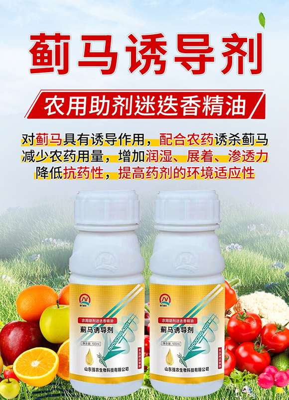 ERT(do)-(qing)r(nng)_01