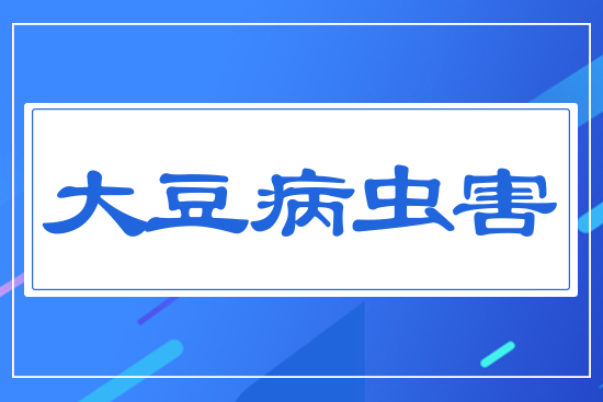 大豆病蟲害