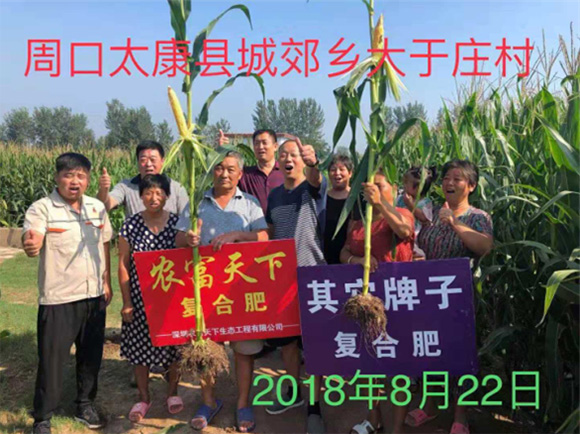 大田專用磷酸二氫鉀型復合肥料17-17-17-農(nóng)富天下6