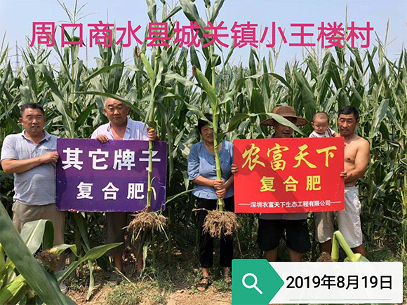 大田專用磷酸二氫鉀型復合肥料17-17-17-農(nóng)富天下4