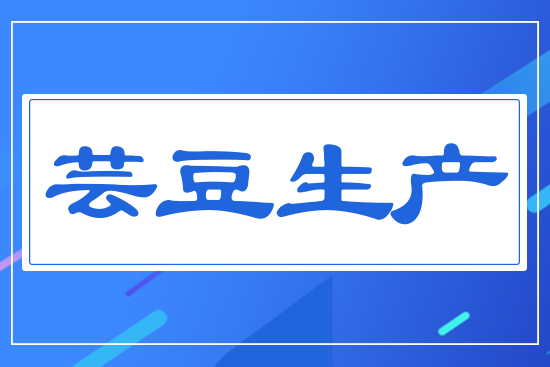 蕓豆生產(chǎn)