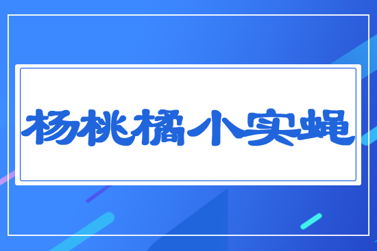 楊桃橘小實蠅