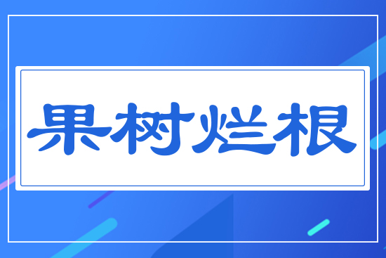 果樹(shù)爛根