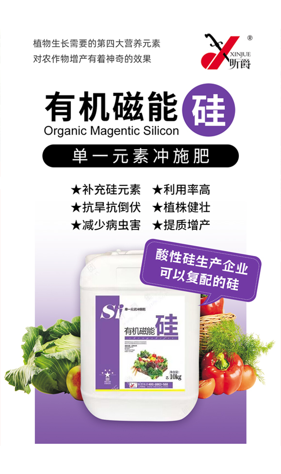 昕爵集團_01