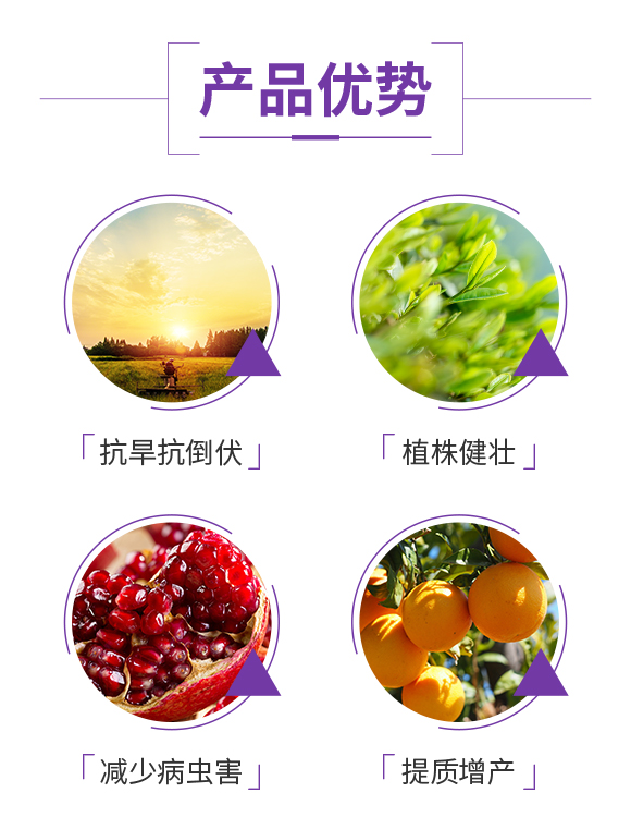 昕爵集團_03
