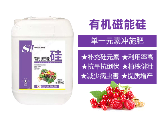 昕爵集團_02