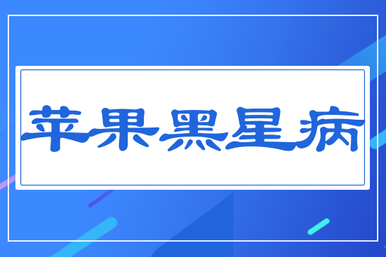 蘋(píng)果黑星病