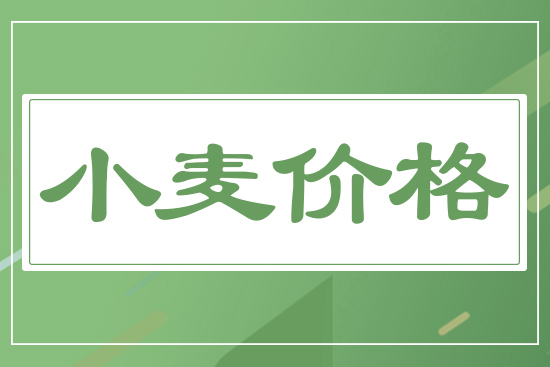 小麥價格