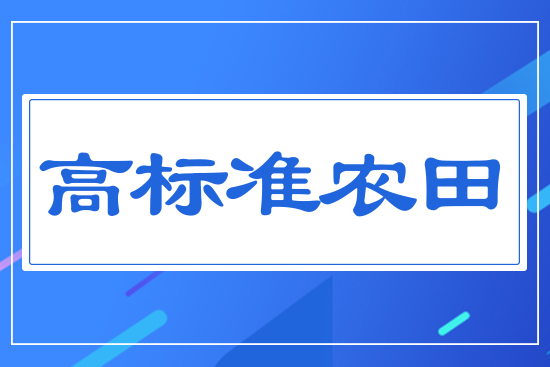 高標準農田