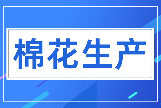 棉花生產(chǎn)