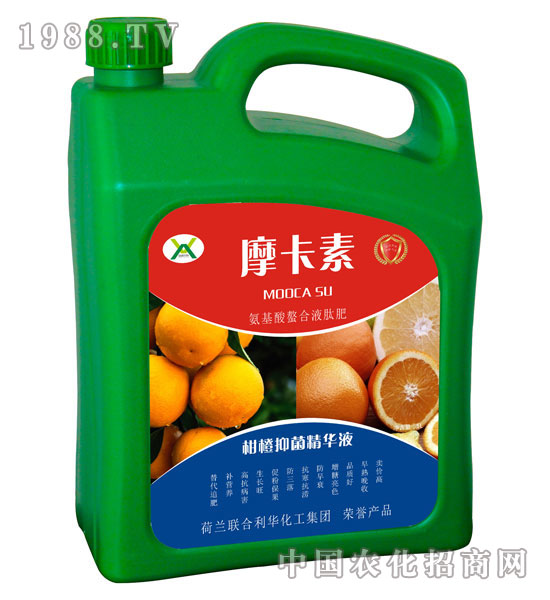 ̳־AҺ-Ħ-(qing)о(gu)H