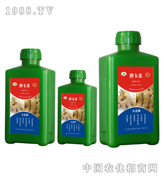 󽪌(zhun)ðҺķ-Ħ-(qing)о(gu)H