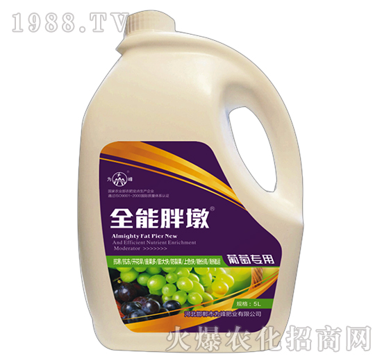 ȫֶ-ь(zhun)-