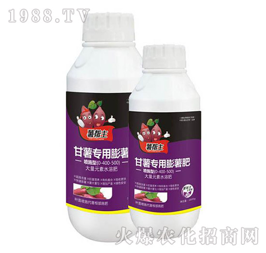 t팣(zhun)--A(l)