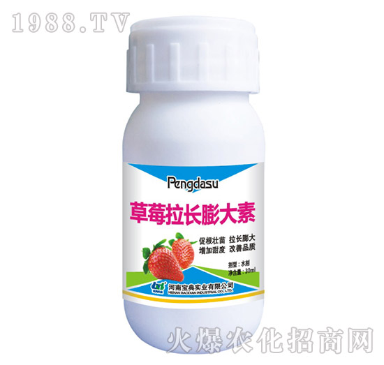 ݮL(zhng)-䌍(sh)I(y)
