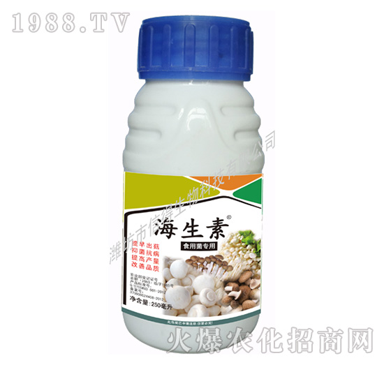 ʳþ(zhun)--ŵ