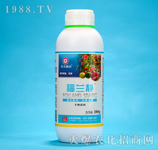 mo1000g-r(nng)ڈ@
