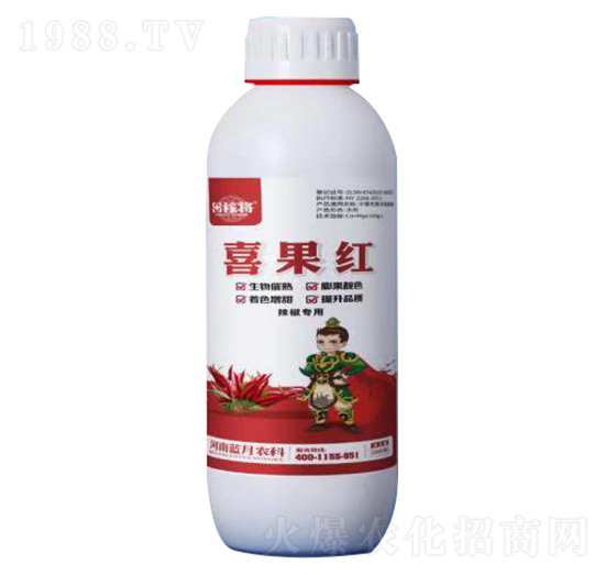 1000(zhun)ϲt-ڌ-{(ln)r(nng)