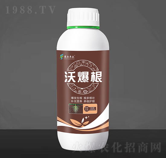 焩-ֱ-ِSr