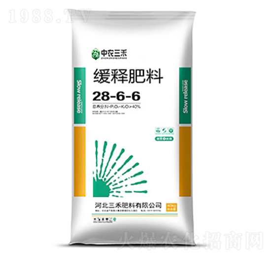 ጷ28-6-6-r(nng)