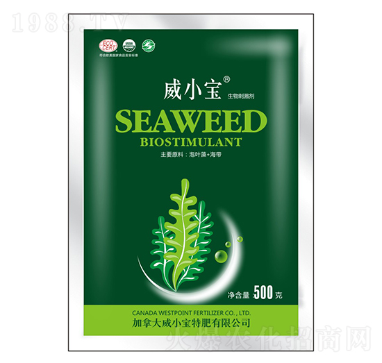 500g̼-С-巉(mng)