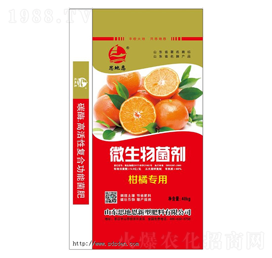 ٌ(zhun)΢-˼ض