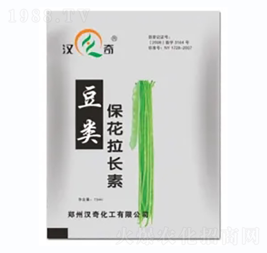 L-h滯