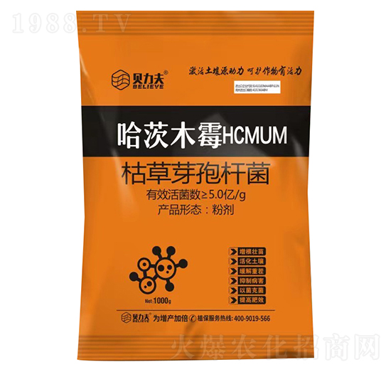 ľùHCMUM-ؐ-?tng)S