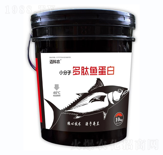 СӶ~(y)-~r(nng)-Έ