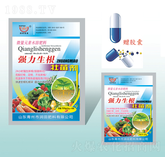 (qing)焩-