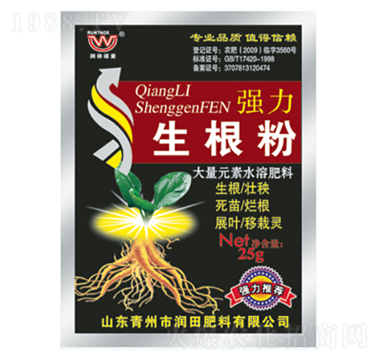 (qing)-