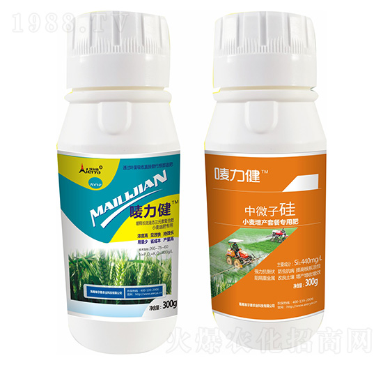 Сa(chn)ײ͌(zhun)÷-O-